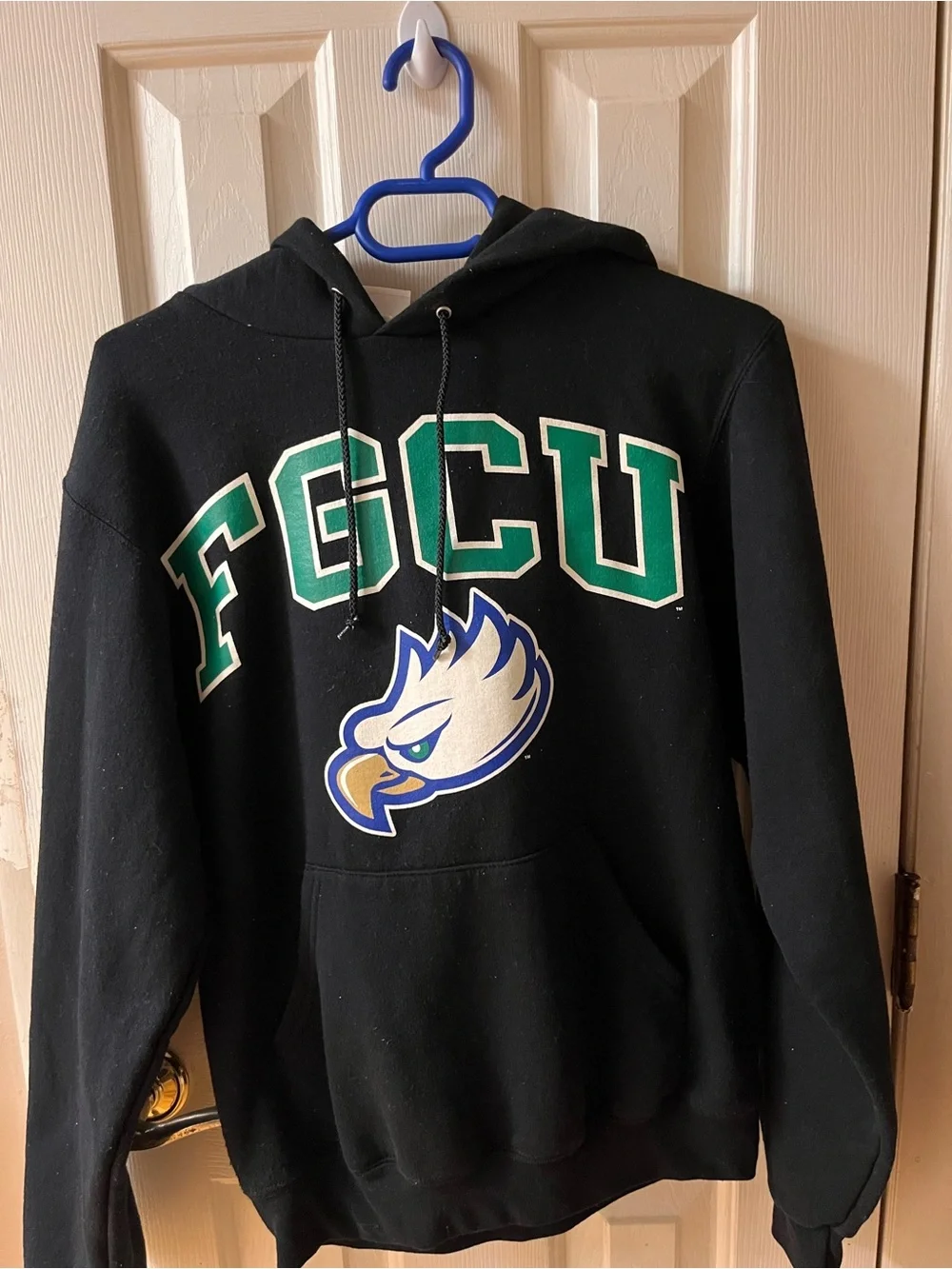 FGCU champion Hoodie with Green Lettering and Eagle Logo